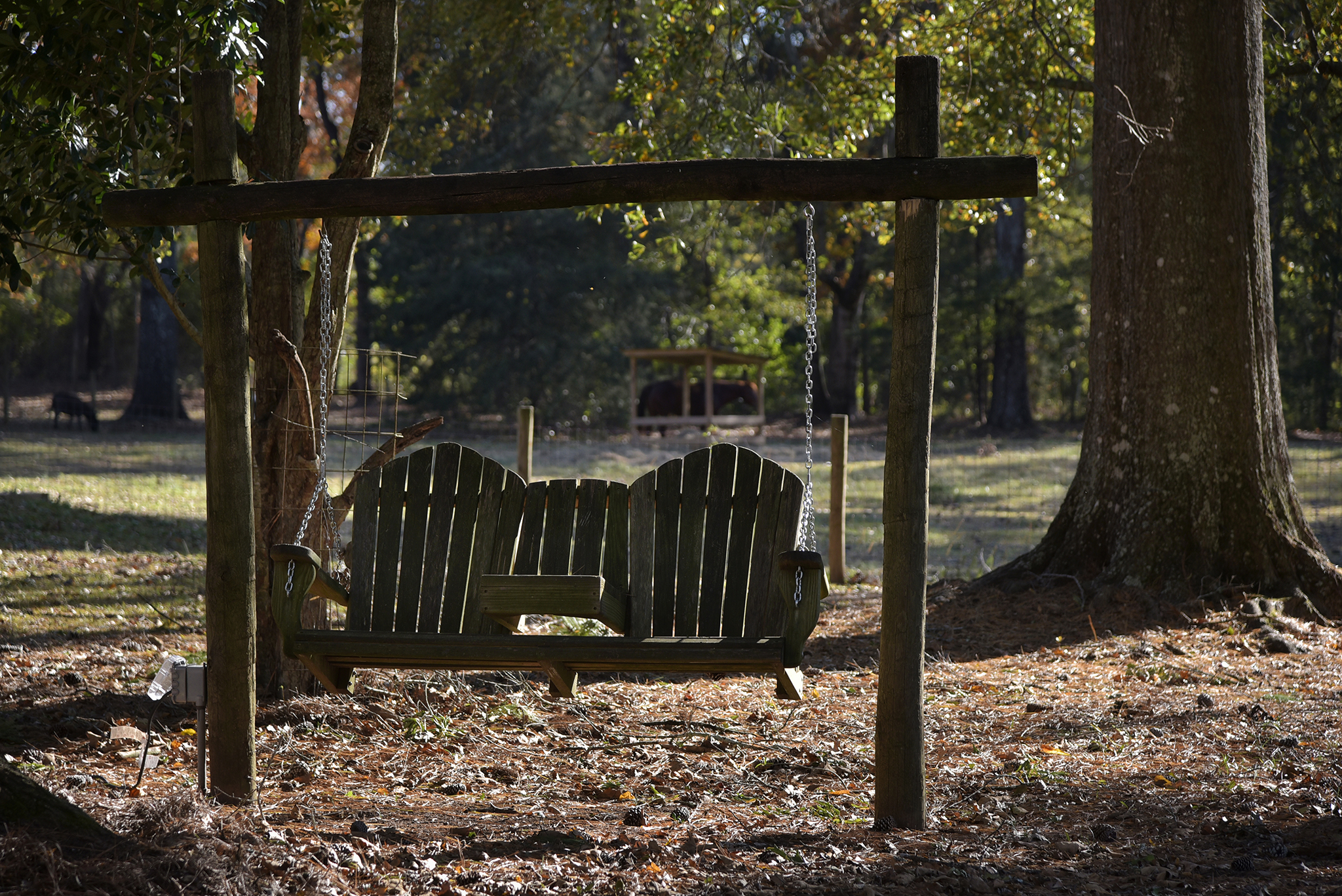 44 Farmhouse WEB 154